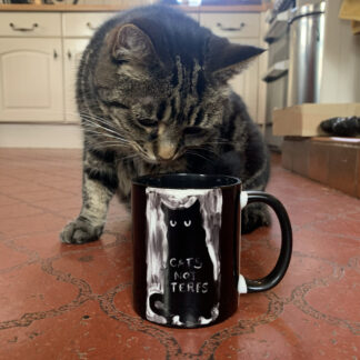 cats not terfs mug